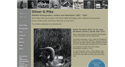 Desktop Screenshot of olivergpike.info